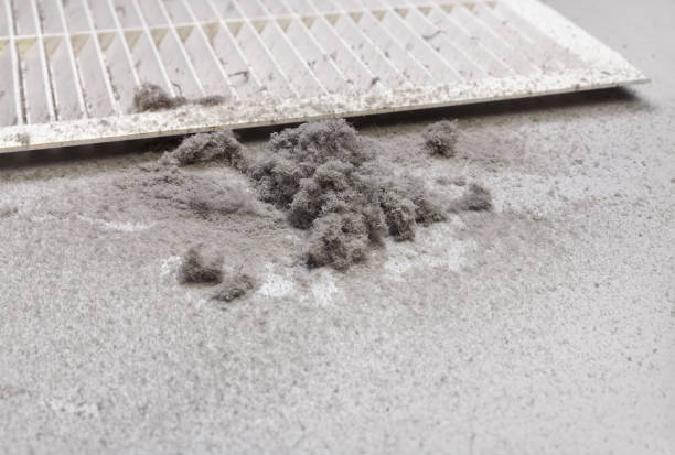 Best Affordable HVAC Duct Cleaning  in South Windham, CT
