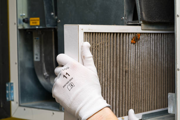 Best Affordable Duct Cleaning Services  in South Windham, CT