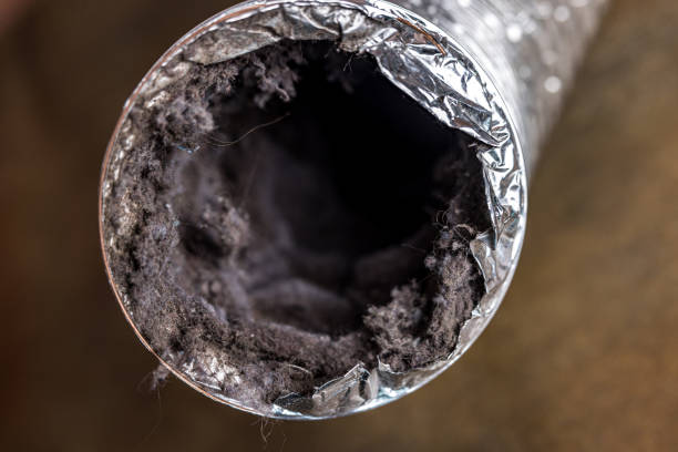 Best Affordable HVAC Duct Cleaning  in South Windham, CT